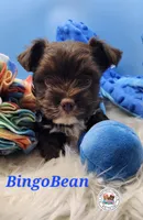 processed/dfc94bdc-ce46-424d-9c7b-272685de8937/listing/5fa29a6d-c020-4792-9669-f695cb492e3d/174ad787-ceda-4a73-b22b-8ca19429e3e3