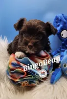 processed/dfc94bdc-ce46-424d-9c7b-272685de8937/listing/5fa29a6d-c020-4792-9669-f695cb492e3d/434bc092-ac55-4845-b374-648322c9c94c