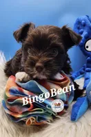 processed/dfc94bdc-ce46-424d-9c7b-272685de8937/listing/5fa29a6d-c020-4792-9669-f695cb492e3d/94c44f1c-e95a-4b6b-9d0b-bcf17724b471