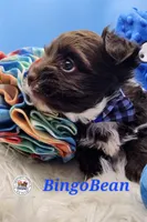 processed/dfc94bdc-ce46-424d-9c7b-272685de8937/listing/5fa29a6d-c020-4792-9669-f695cb492e3d/d7c8fac8-1020-47c4-a5a4-cd5c8dc27969