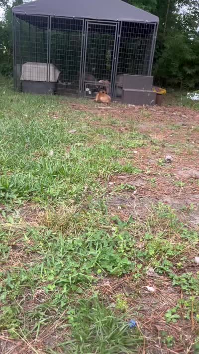 Facility video