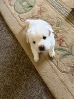 processed/dfd64cdb-0636-4bff-a6d2-4d607d2ef109/listing/22902813-3b9b-47db-8175-b03cd5f59979/04c8ea2f-7608-4963-8598-0ec24b6bb761