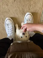 processed/dfd64cdb-0636-4bff-a6d2-4d607d2ef109/listing/22902813-3b9b-47db-8175-b03cd5f59979/224481b2-c844-4344-ae53-96e8ac37d1ec