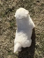 processed/dfd64cdb-0636-4bff-a6d2-4d607d2ef109/listing/22902813-3b9b-47db-8175-b03cd5f59979/7c6982e6-8054-4149-ac1c-218bf7350cac