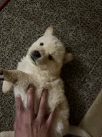 processed/dfd64cdb-0636-4bff-a6d2-4d607d2ef109/listing/303cf685-bff4-4855-9f85-5972f397a886/a8f9bac7-4953-4dac-a90f-1944b09ac3c4