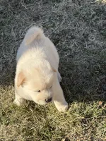 processed/dfd64cdb-0636-4bff-a6d2-4d607d2ef109/listing/8aee23d3-6483-4ab1-af07-3a28b79e235f/380220ac-fd09-42e3-94a2-45f72a79de61