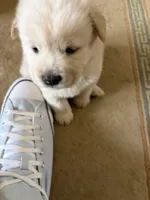 processed/dfd64cdb-0636-4bff-a6d2-4d607d2ef109/listing/8aee23d3-6483-4ab1-af07-3a28b79e235f/427f9bd4-3978-402f-a2be-22f09b4e417b