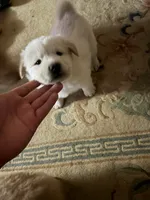 processed/dfd64cdb-0636-4bff-a6d2-4d607d2ef109/listing/8aee23d3-6483-4ab1-af07-3a28b79e235f/8079bcbf-be6c-4921-bda1-df6624f9e83c