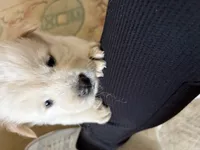 processed/dfd64cdb-0636-4bff-a6d2-4d607d2ef109/listing/8aee23d3-6483-4ab1-af07-3a28b79e235f/ce59304a-7670-4608-8c23-3de6e887bf71