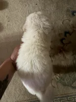 processed/dfd64cdb-0636-4bff-a6d2-4d607d2ef109/listing/8aee23d3-6483-4ab1-af07-3a28b79e235f/ddac686c-b63d-49c0-90b7-b3ed21ec0460