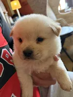 processed/dfd64cdb-0636-4bff-a6d2-4d607d2ef109/listing/c834dd58-fbf7-4e95-b136-448f3fcb4f85/9329894f-63ac-4ed3-8915-41ef13b09d85