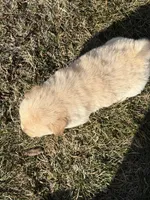 processed/dfd64cdb-0636-4bff-a6d2-4d607d2ef109/listing/c834dd58-fbf7-4e95-b136-448f3fcb4f85/fd284cf1-3097-4d3f-9936-b85c3ded9c54