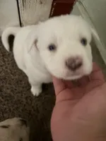 processed/dfd64cdb-0636-4bff-a6d2-4d607d2ef109/listing/e741a672-eb36-416a-8bca-64462358f133/82f847ee-cc03-40ab-b124-5238a1a9d627