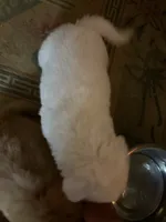 processed/dfd64cdb-0636-4bff-a6d2-4d607d2ef109/listing/e741a672-eb36-416a-8bca-64462358f133/98df67c7-15fd-44b5-883d-87ebcd72254e