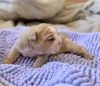 processed/dfda69ac-ebfa-4d1e-bcb9-372fe9a3f088/listing/6bd97491-d57e-4d48-9699-f7958e88e3cc/6032cbca-a868-4384-89ab-4fe65d4b73cd