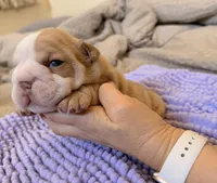 processed/dfda69ac-ebfa-4d1e-bcb9-372fe9a3f088/listing/6bd97491-d57e-4d48-9699-f7958e88e3cc/65a5bf81-ff4b-4f91-a1eb-84948e182760