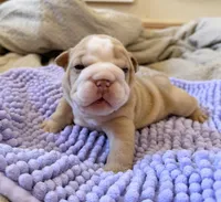 processed/dfda69ac-ebfa-4d1e-bcb9-372fe9a3f088/listing/6bd97491-d57e-4d48-9699-f7958e88e3cc/abba1847-a0d1-469d-b788-f0834024d8e8