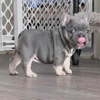 processed/dfda69ac-ebfa-4d1e-bcb9-372fe9a3f088/listing/88edeb4c-b3a0-475c-8f3a-cf0408de7a94/00d62af7-65f6-4224-8d30-e780965227e0