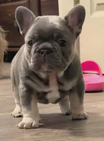 processed/dfda69ac-ebfa-4d1e-bcb9-372fe9a3f088/listing/88edeb4c-b3a0-475c-8f3a-cf0408de7a94/01487862-09ee-4988-820a-518f51b29382