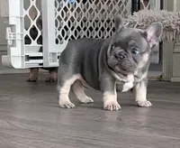 processed/dfda69ac-ebfa-4d1e-bcb9-372fe9a3f088/listing/88edeb4c-b3a0-475c-8f3a-cf0408de7a94/1368d523-6676-49eb-85b6-b3588a3b6ece