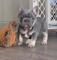 processed/dfda69ac-ebfa-4d1e-bcb9-372fe9a3f088/listing/88edeb4c-b3a0-475c-8f3a-cf0408de7a94/d17a9171-ee6d-4b9d-9a37-b730a3cea6a2