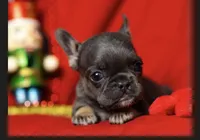 processed/dfdc1b50-093c-4bc4-be74-13eda6c02b25/listing/1dbdc9d8-af9b-47aa-8c1a-d15e20289f2a/35bbdb4a-6b4e-401b-9294-af59fe9890f8