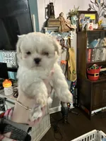 processed/dff97957-1914-4df4-90c8-04cccbc434c7/listing/030a80bf-2f03-438e-88dd-7f1f6aec9450/6428746e-f6b1-4855-9351-703e5046d8e9