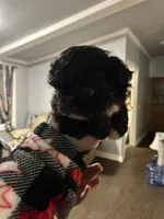 processed/dff97957-1914-4df4-90c8-04cccbc434c7/listing/a51d028e-b7b3-4343-8769-5f4a134d9016/72f5a417-9ba7-4ad3-a97d-80ed84afdcc2