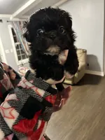 processed/dff97957-1914-4df4-90c8-04cccbc434c7/listing/a51d028e-b7b3-4343-8769-5f4a134d9016/d148db6a-3883-4d78-9ce0-0767a57e7bea