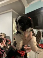 processed/dff97957-1914-4df4-90c8-04cccbc434c7/listing/ada4eb87-2c23-474c-a6f0-8bdafb1d618d/5fb2f0f8-d545-47fd-bb4f-3cb6e752f9f1