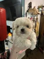 processed/dff97957-1914-4df4-90c8-04cccbc434c7/listing/e6f0ec2b-4011-46a4-a41f-b8b4da4f322f/64507f9f-4c30-4ab4-8f80-3edb3e644c50