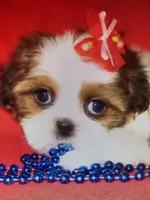 processed/e0014b81-4b25-4dd6-886d-3419dab5823e/facility/26f8564a-4c9c-4ae4-a371-332c9e3baeed