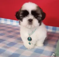 processed/e0014b81-4b25-4dd6-886d-3419dab5823e/facility/803a2a17-c31d-4ce8-89a4-52b65f5ce37c