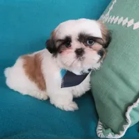 processed/e0014b81-4b25-4dd6-886d-3419dab5823e/facility/8f28ef76-c13e-4481-919c-2d5c1935ade5