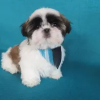 processed/e0014b81-4b25-4dd6-886d-3419dab5823e/facility/95fc190f-dea2-4a67-ada5-2e9382c16d82