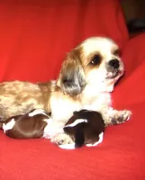 processed/e0014b81-4b25-4dd6-886d-3419dab5823e/facility/b17b0da3-5bf6-4160-9256-5bc41125e39c