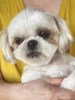 processed/e0014b81-4b25-4dd6-886d-3419dab5823e/facility/bc6b9e52-0b64-4927-985f-a7f018712f1f