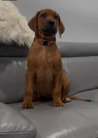 processed/e00388b6-5d28-4f5b-aca6-67ca8327a2fc/listing/498439f7-698a-4037-ae35-82c6502dd0a0/432ecca0-f11b-4594-93eb-2d120194ac03