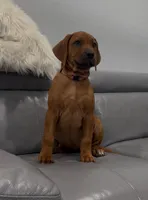 processed/e00388b6-5d28-4f5b-aca6-67ca8327a2fc/listing/498439f7-698a-4037-ae35-82c6502dd0a0/6376a03e-7e14-4d97-8ee6-a6cda5414cd1