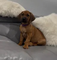 processed/e00388b6-5d28-4f5b-aca6-67ca8327a2fc/listing/5ecd4276-9cc1-477f-89cd-35dce143601f/2df08da2-d18f-4743-8b32-2e06ab190c7f