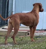 processed/e00388b6-5d28-4f5b-aca6-67ca8327a2fc/listing/5ecd4276-9cc1-477f-89cd-35dce143601f/3a45eb63-2f82-4dcc-b510-e6951ff87abd