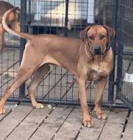 processed/e00388b6-5d28-4f5b-aca6-67ca8327a2fc/listing/5ecd4276-9cc1-477f-89cd-35dce143601f/8ac13025-17ea-4c84-aff4-3c95da163d76