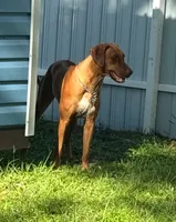 processed/e00388b6-5d28-4f5b-aca6-67ca8327a2fc/listing/5ecd4276-9cc1-477f-89cd-35dce143601f/9d3370c1-6ead-4a7e-af04-5d02c14e458b