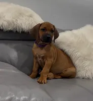 processed/e00388b6-5d28-4f5b-aca6-67ca8327a2fc/listing/5ecd4276-9cc1-477f-89cd-35dce143601f/f28ebf24-6164-42b8-968c-acbc47cd821f