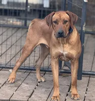 processed/e00388b6-5d28-4f5b-aca6-67ca8327a2fc/listing/fe368542-7a36-46ea-ae3b-58350ba0f6e2/2a496064-2702-4af1-ab7c-56a95a5c6c6a