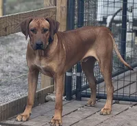 processed/e00388b6-5d28-4f5b-aca6-67ca8327a2fc/listing/fe368542-7a36-46ea-ae3b-58350ba0f6e2/7fd6304c-7c98-4b15-861d-c90539a06a63