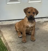 processed/e00388b6-5d28-4f5b-aca6-67ca8327a2fc/listing/fe368542-7a36-46ea-ae3b-58350ba0f6e2/b1eb01b2-6c56-467e-8106-086e749fbd27