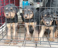 processed/e00ccb1d-48ca-459c-8eba-c61795c782e1/listing/181868c4-d346-4eb1-ad53-2c9144bba31b/614b7b9e-0abf-458b-838f-f7a839fd7862