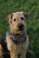 processed/e00ccb1d-48ca-459c-8eba-c61795c782e1/listing/181868c4-d346-4eb1-ad53-2c9144bba31b/75de7778-35e6-40b0-a6f8-545a0935e8a3