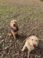 processed/e00ccb1d-48ca-459c-8eba-c61795c782e1/listing/181868c4-d346-4eb1-ad53-2c9144bba31b/99a65ff9-05f9-48e8-9e20-8de9088b4932